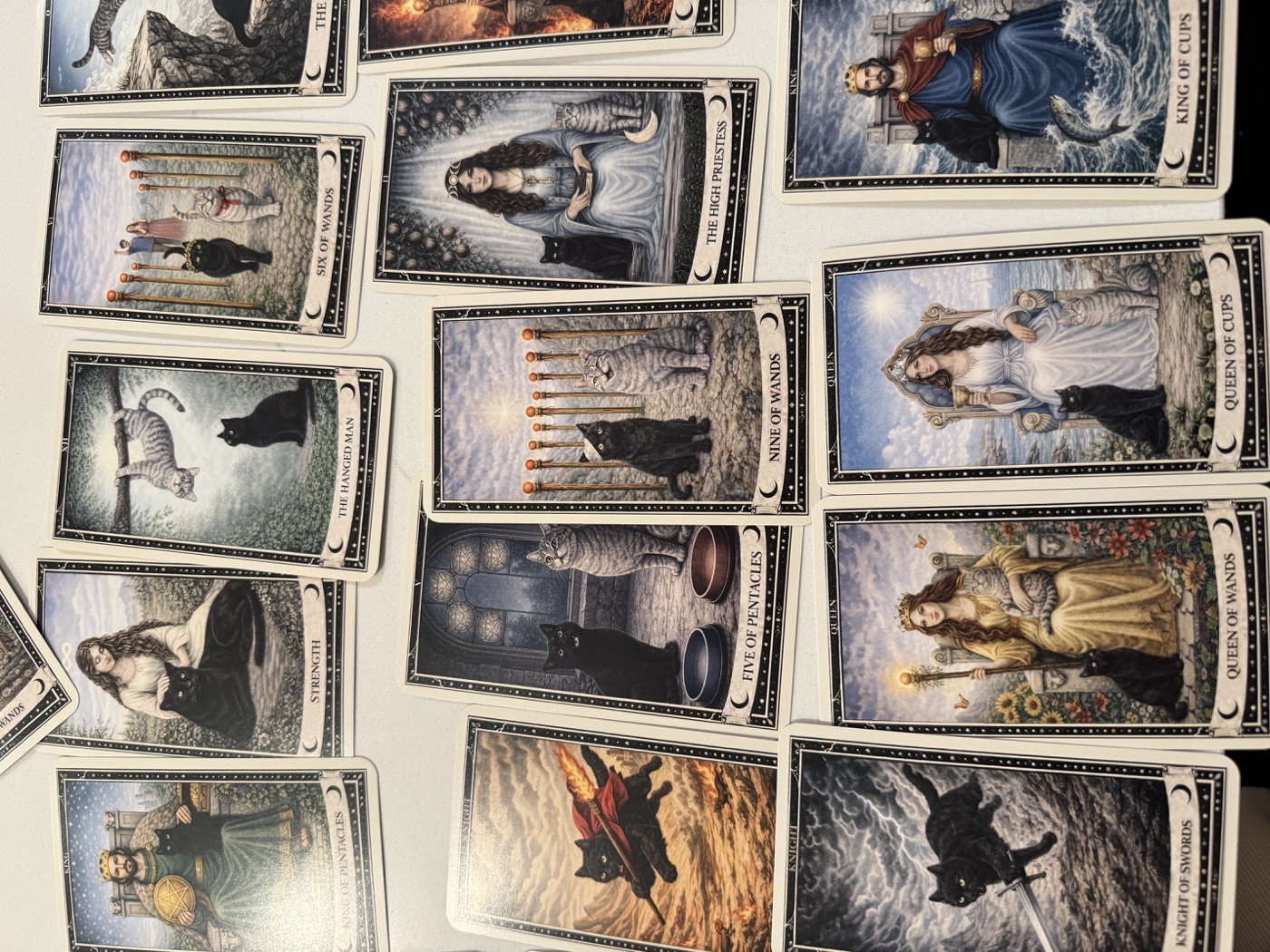 A real professionally printed cat-themed tarot deck spread across a table, showing Major and Minor Arcana cards